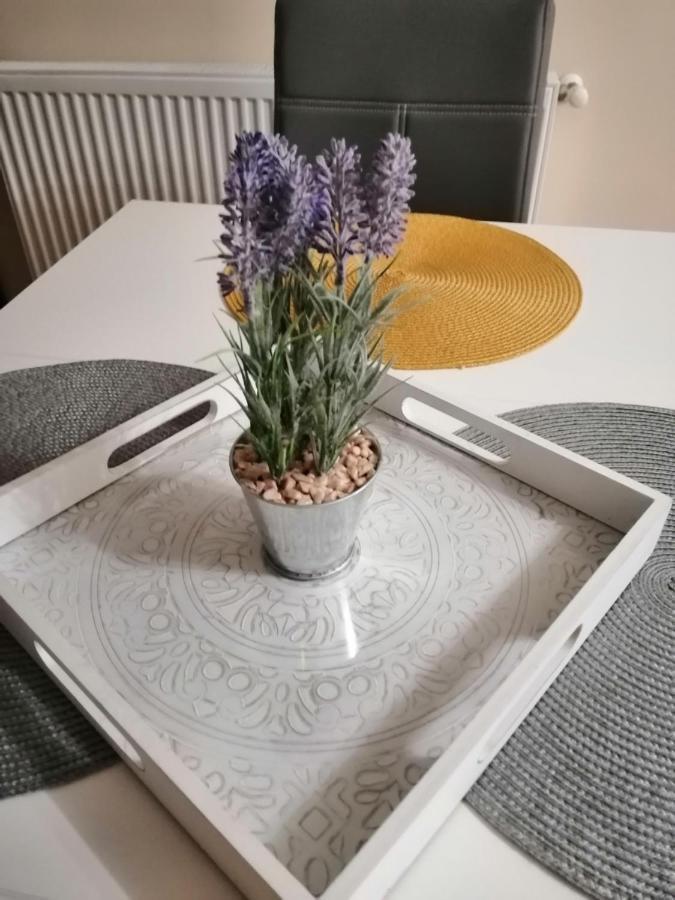 Boglarka Apartman セゲド エクステリア 写真